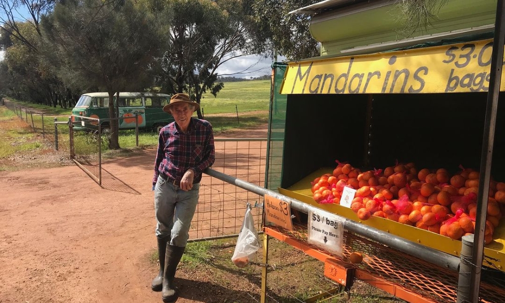 Roadside produce stalls in Chittering