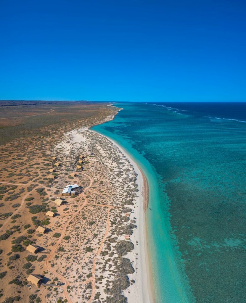 exmouth - sal salis ningaloo reef