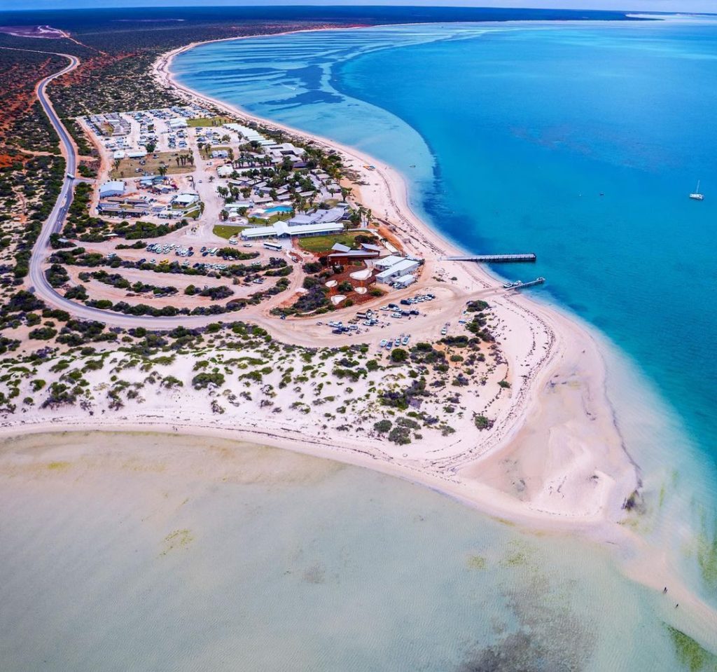 shark bay - RAC monkey mia dolphin resort