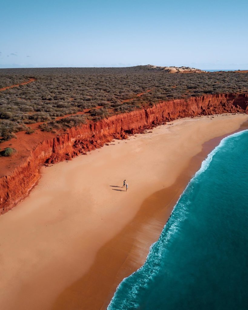 shark bay - francois peron national park