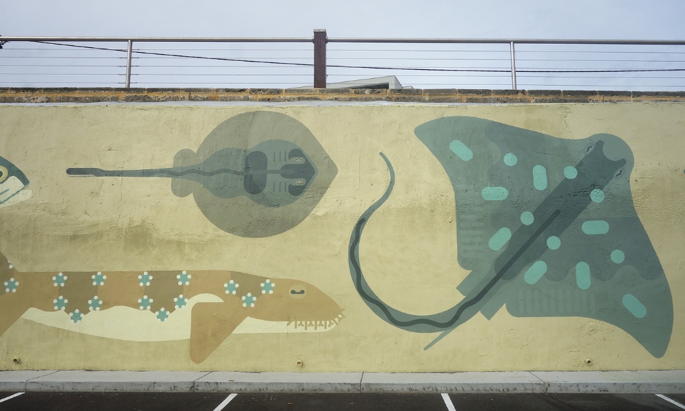 Amok Island’s Marine Life of Marmion Marine Park mural