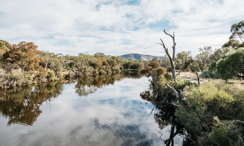 Avon River walk