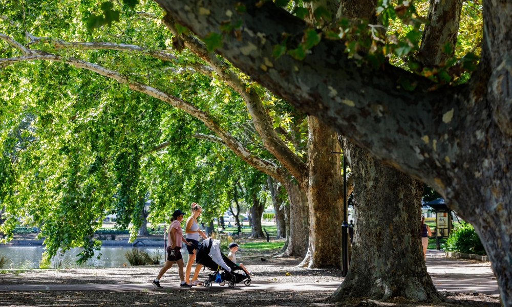 Walk around Hyde Park