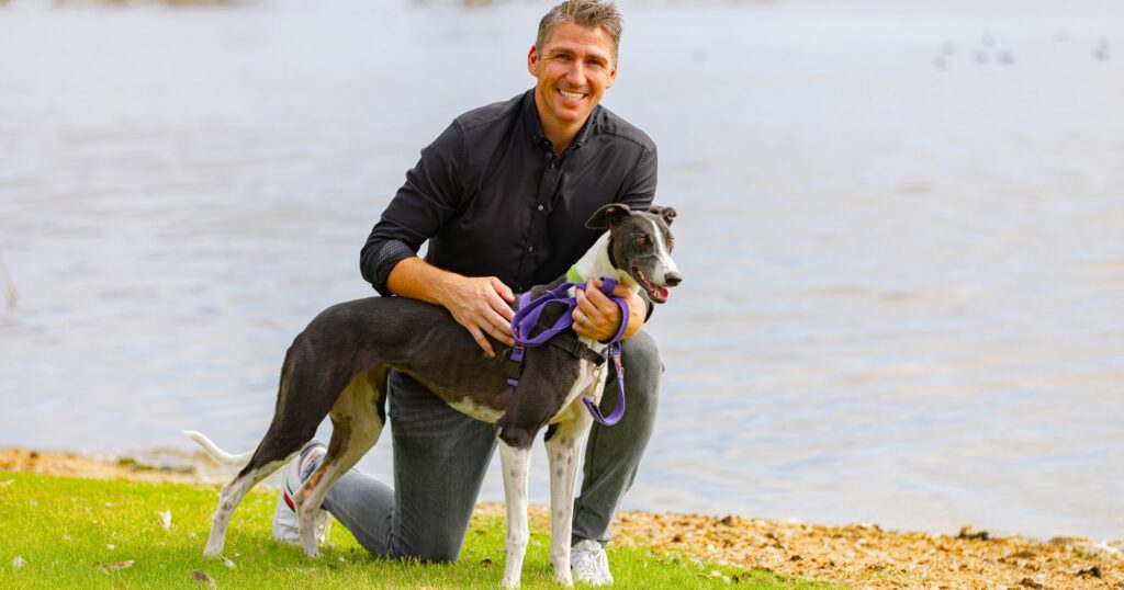 Greyhounds as Pets - National Greyhound Adoption Month