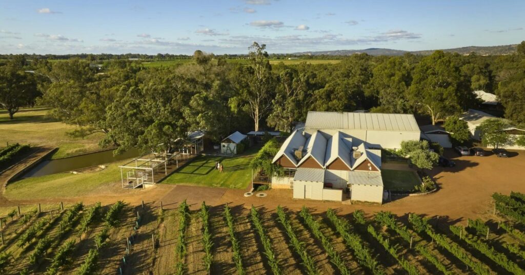 Harvest in the Swan Valley