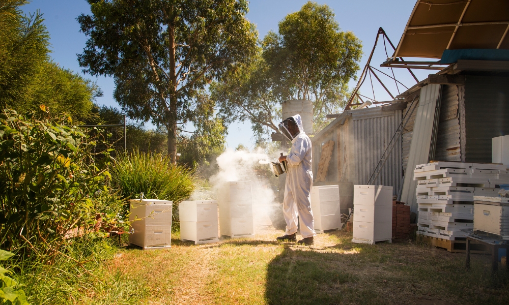 House of Honey in the Swan Valley