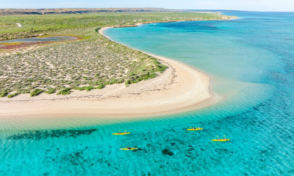 Kayaking in Exmouth