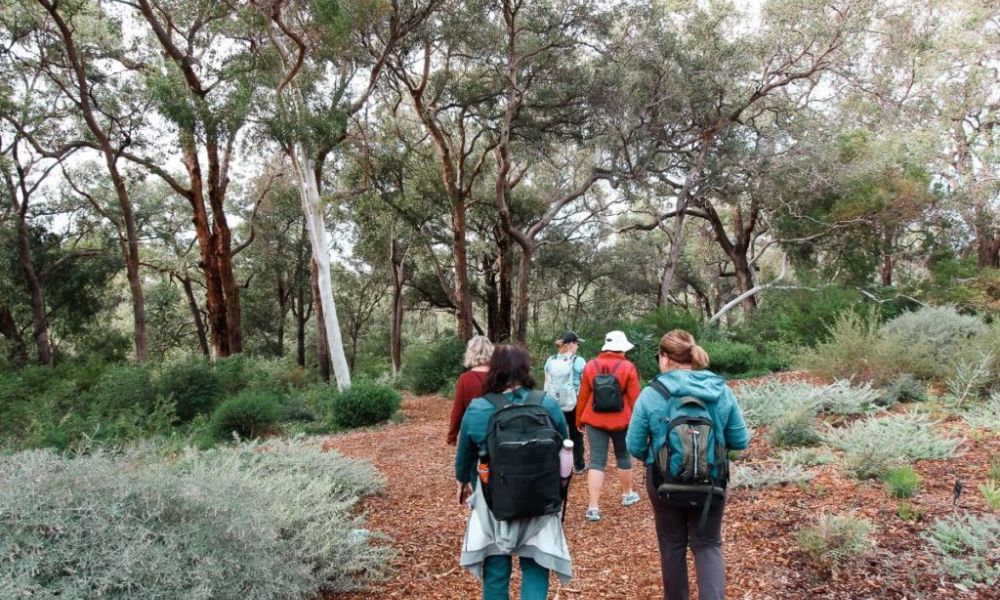 Law Walk Kings Park