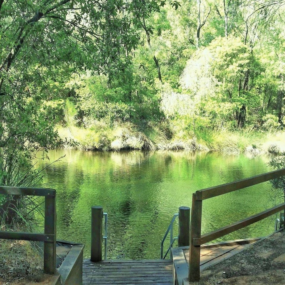 jump in the water at Long Pool, Collie