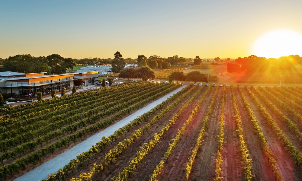 Mandoon Estate in the Swan Valley