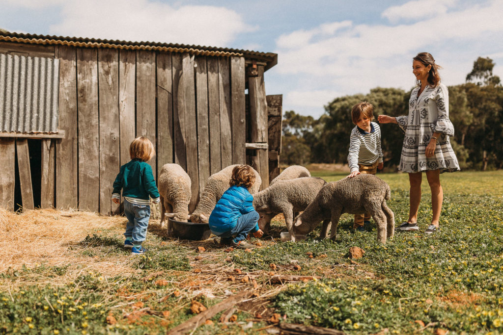 Best Farm Stays In Margaret River - Margaret River Holiday Cottages