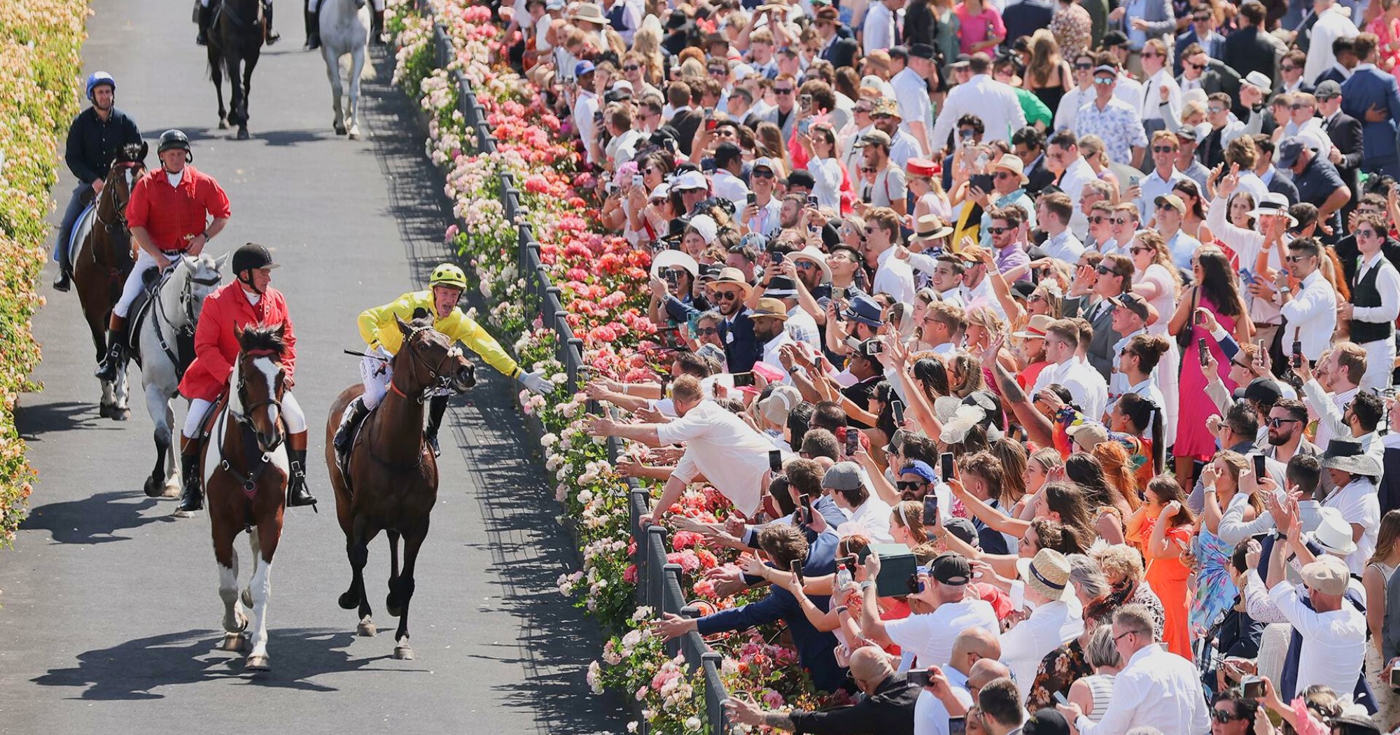 Melbourne Cup Favourites 2024