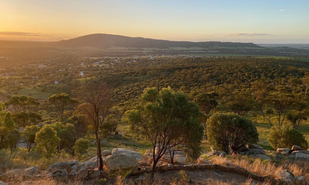 Mount Brown Lookout