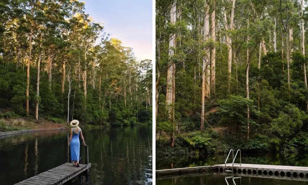 Towering Karri trees surround a natural pool.

10 Of The Most Instagram-Worthy Spots In The South West