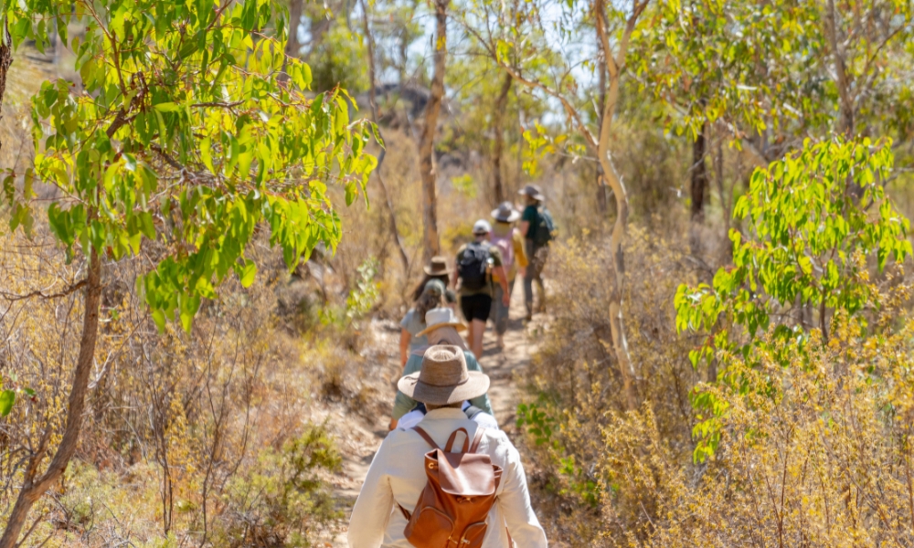 The Hike Collective tour in the Perth Hills