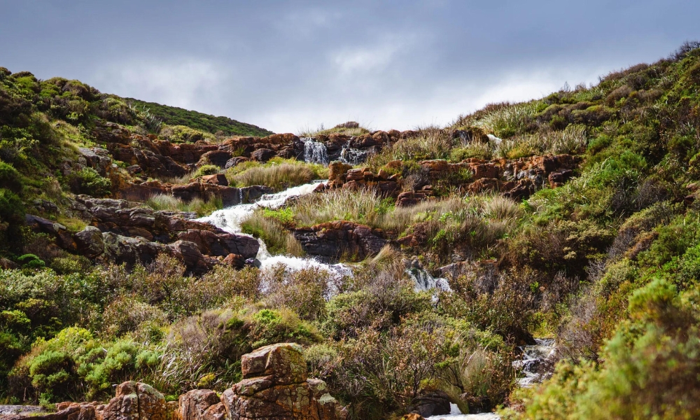 Quinninup Falls, Margaret River