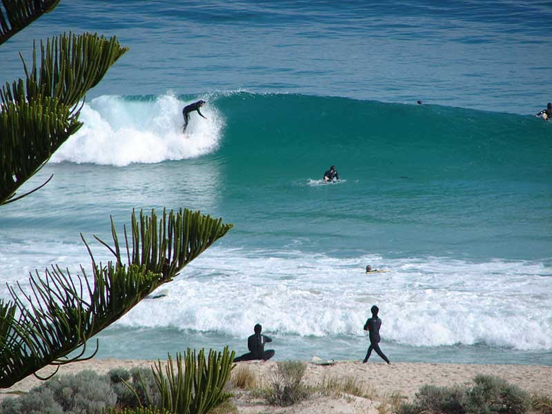 A male surfing a wave on Scarborough Beach while people watch on