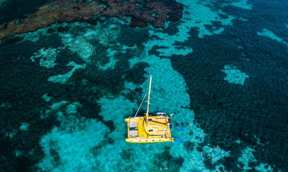 The ultimate Christmas gift: a sunset Catamaran Sailing Cruise.