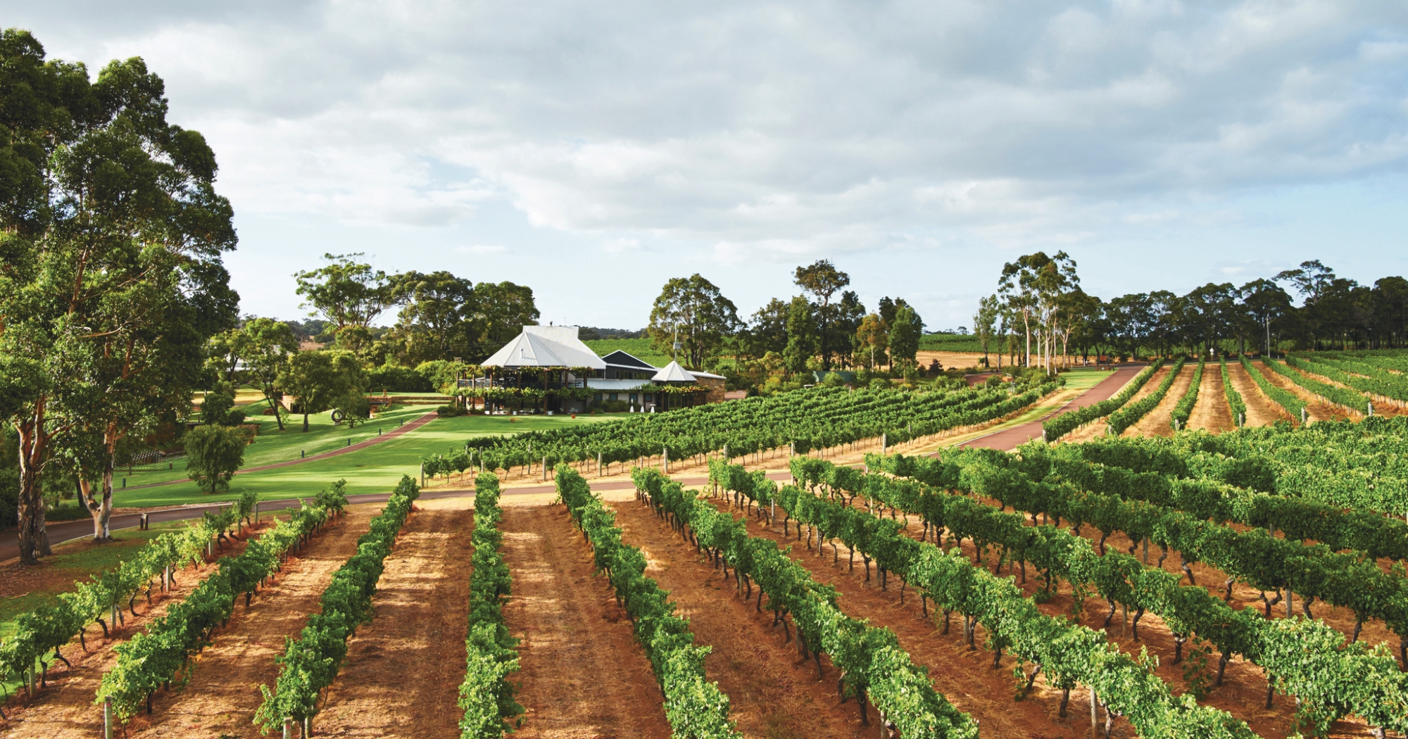 Top Ten Guide: Best Restaurants In The South West Vasse Felix Estate