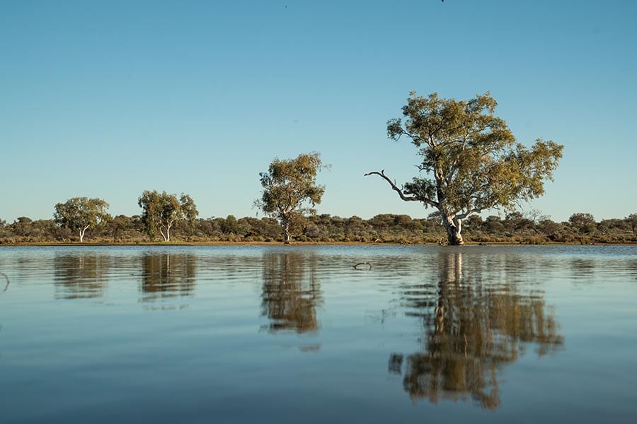 Wooleen Pond